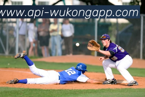 悟空体育APP 高清赛事图